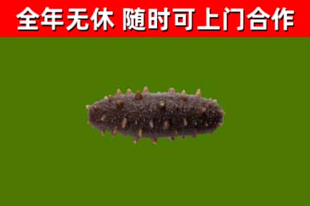 怀化烟酒回收干海参.jpg